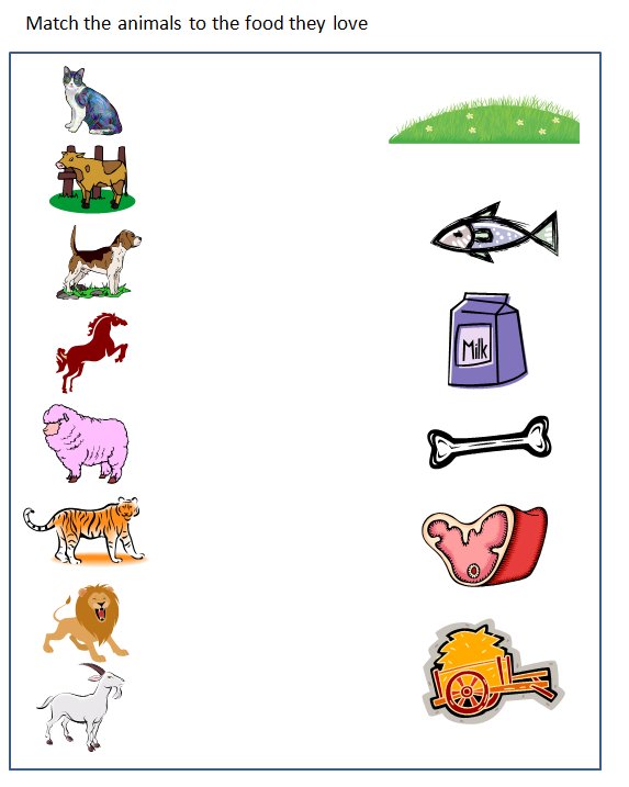 Animals and their food worksheet - Teach On