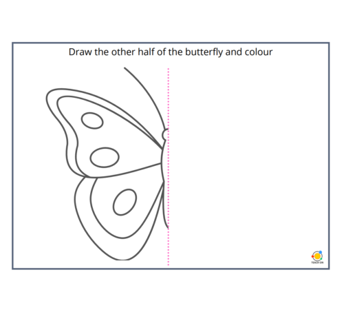 butterfly-symmetry-teach-on