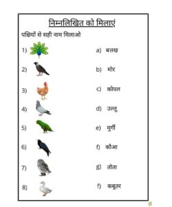 reading comprehension worksheets hindi