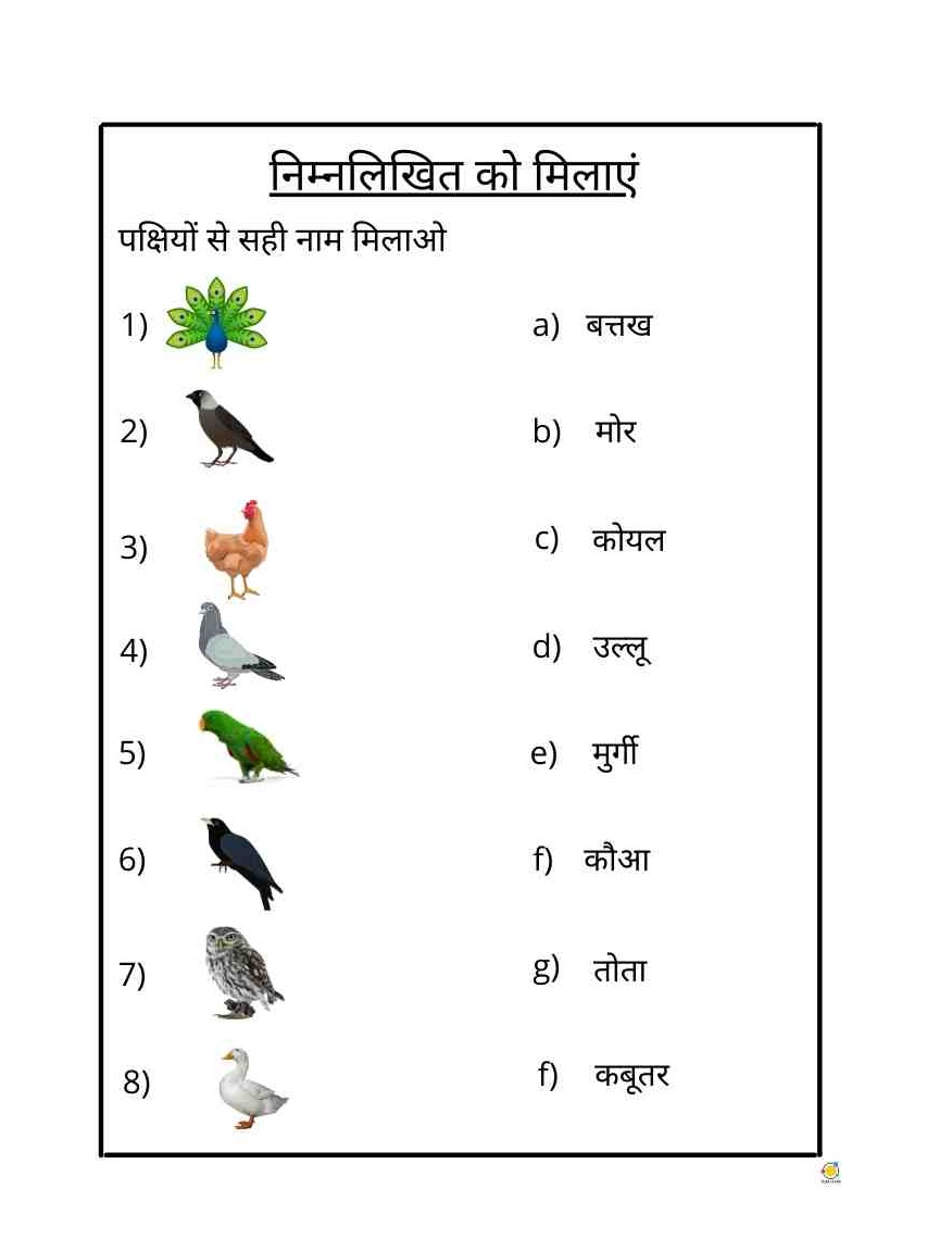 Bird names in Hindi - Teach On