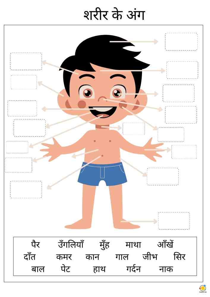 essay body in hindi