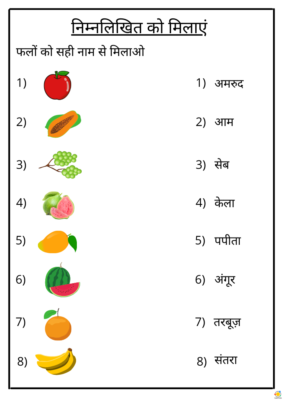 Fruit Names - Hindi - Teach On