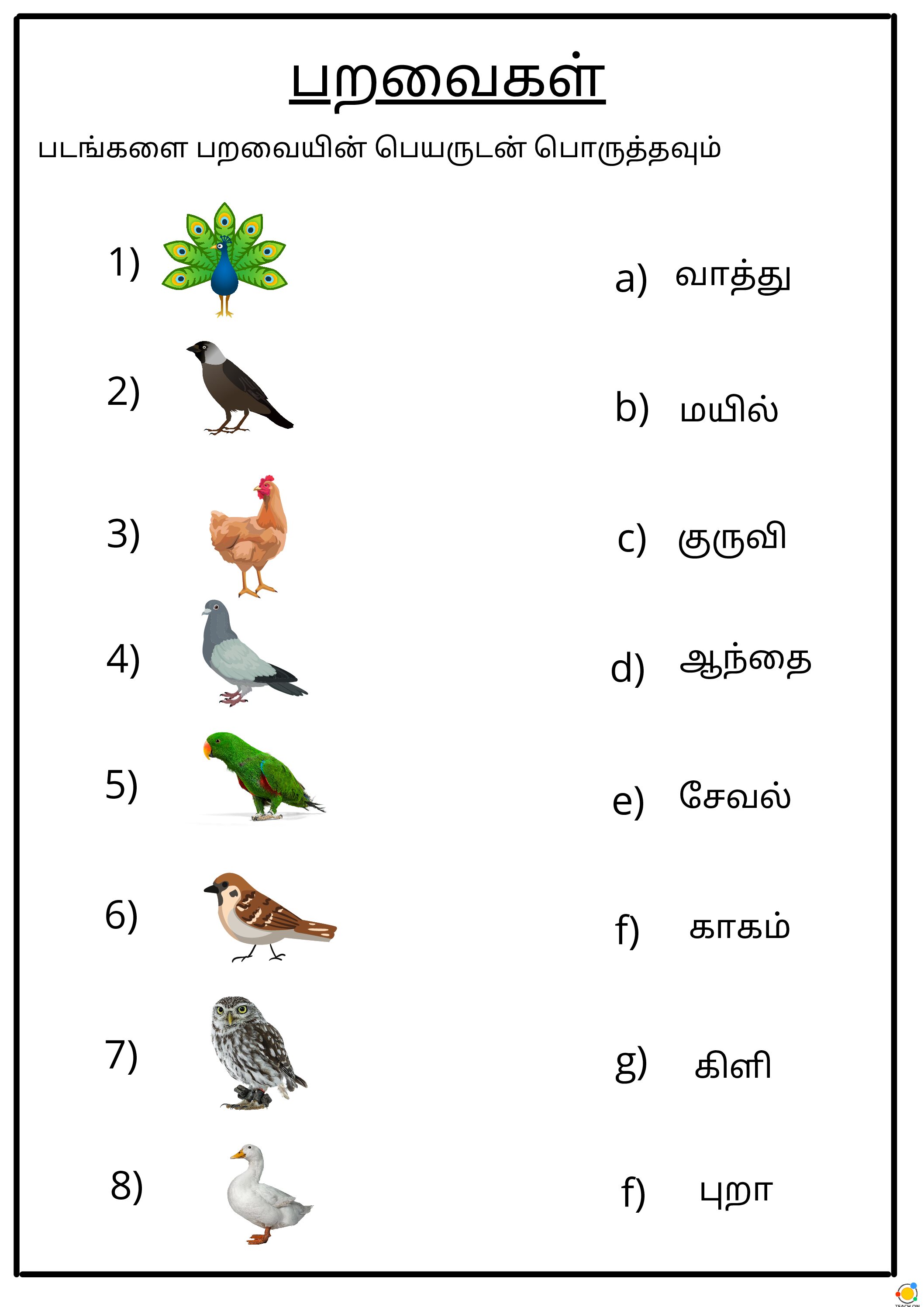 Bird Names in Tamil - Teach On