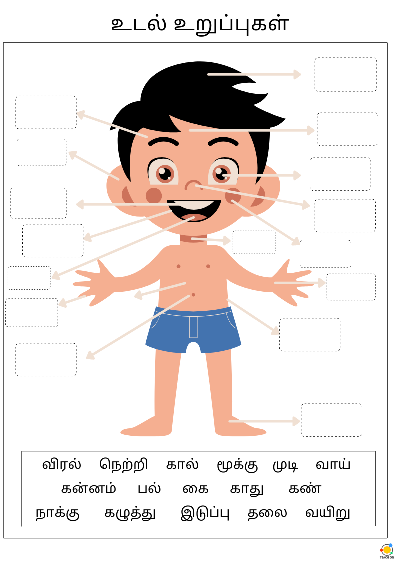 Parts Of Body Tamil Teach On