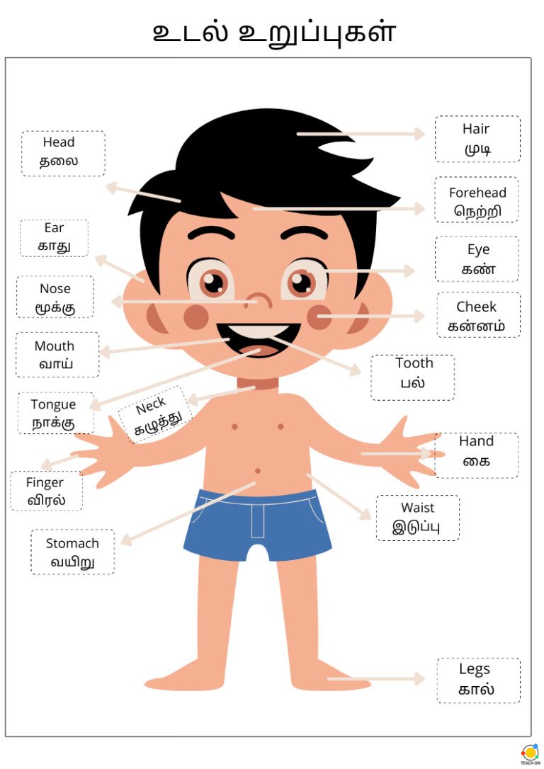 parts-of-the-body-tamil-poster-teach-on