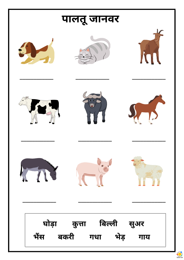 Top 85 Difference Between Pet And Domestic Animals In Hindi 